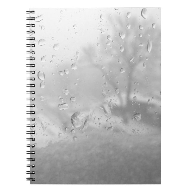 winter city window notebook (Front)