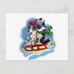 Winter Corgis Postcard