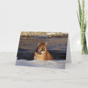 Winter Cougar Card