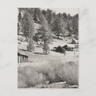 Winter Country Postcard