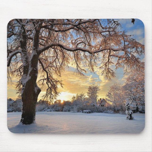 Winter Countryside In Latvia Mouse Mat (Front)