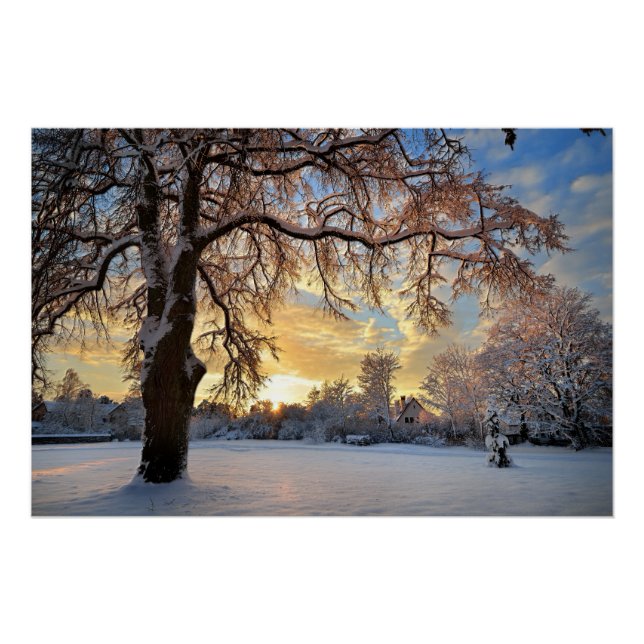 Winter Countryside In Latvia Poster (Front)
