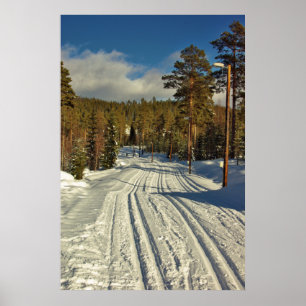 Winter Day on Sweden Poster