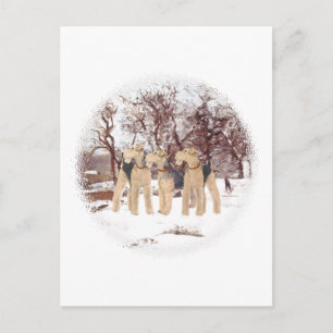 Winter Day Postcard