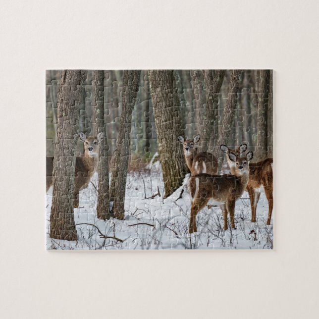 Winter Deer 10x8 challenging Jigsaw Puzzle (Horizontal)