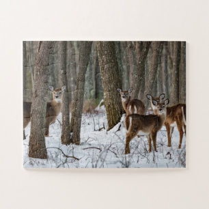 Winter Deer 14x11 easy Jigsaw Puzzle