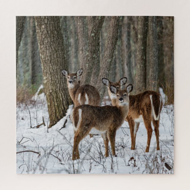 Winter Deer 20x20 challenging Jigsaw Puzzle (Vertical)