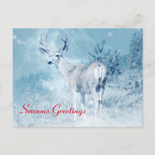 Winter Deer and Pine Trees Seasons Greetings Holiday Postcard (Front)