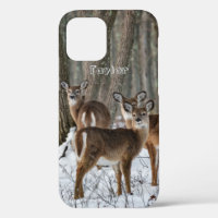 Winter Deer