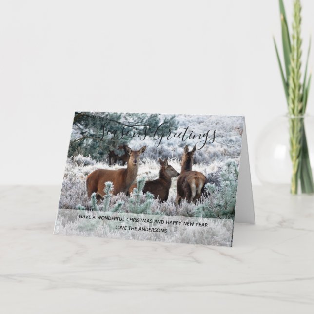 Winter Deer Snow Christmas Photo Personalised Holiday Card (Front)