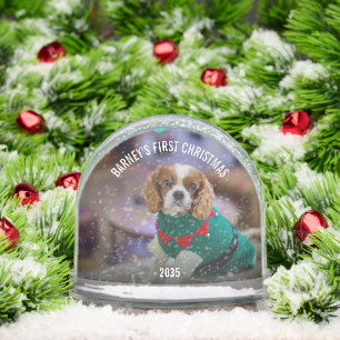 Winter Dog's Photo Christmas Snowglobe