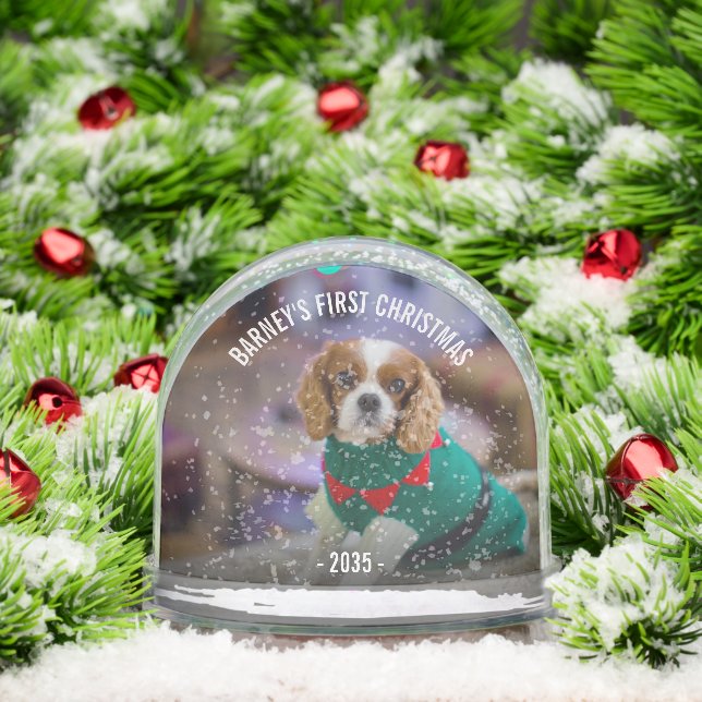 Winter Dog's Photo Christmas Snowglobe (Christmas)