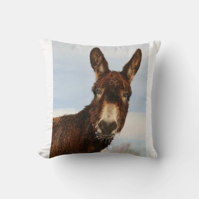 Winter Donkey Cushion (Front)