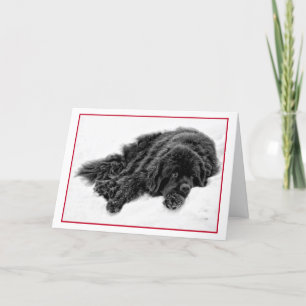 Winter Dreams Holiday Card