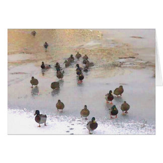 Winter Duck Card