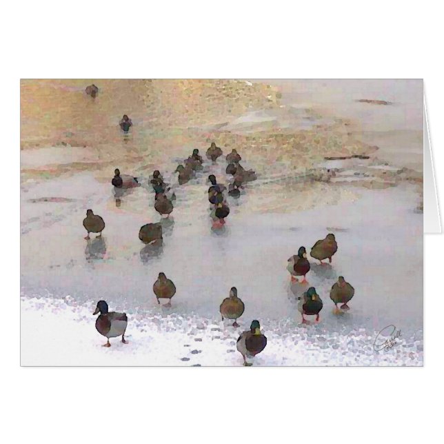 Winter Duck Card (Front Horizontal)
