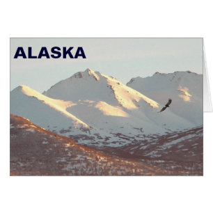 Winter Eagle