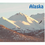 Winter Eagle And Mountains Photo Sculpture Magnet<br><div class="desc">A bald eagle flies near the snow-covered Chugach Range near Anchorage,  AK. Customisable text reading "Alaska" also appears.</div>