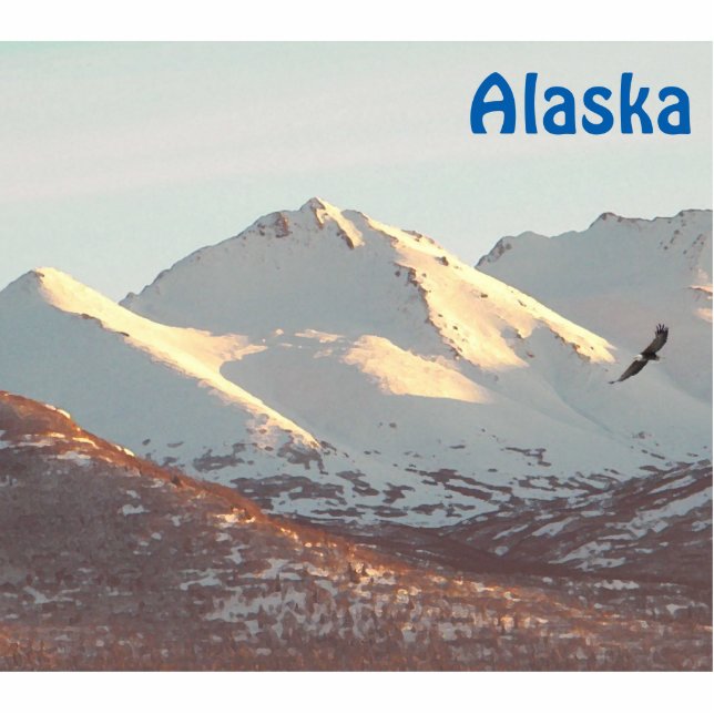 Winter Eagle And Mountains Photo Sculpture Magnet (Front)