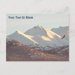 Winter Eagle Postcard