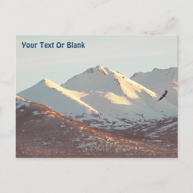 Winter Eagle Postcard (Front)