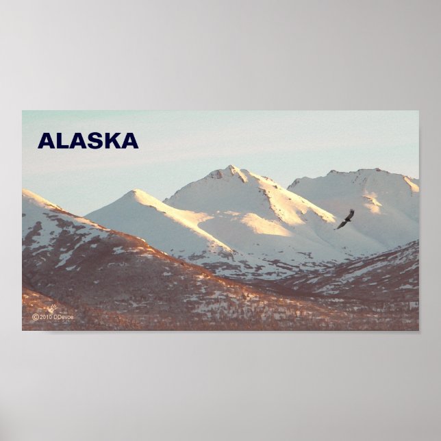 Winter Eagle Poster (Front)