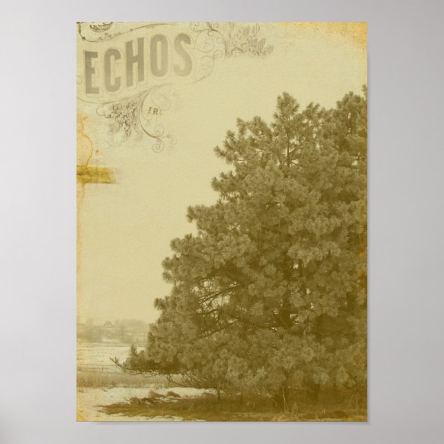 Winter Echos Poster (Front)