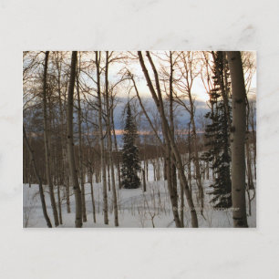 Winter Evening Postcard