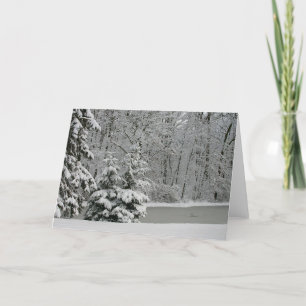 Winter Evergreens Notecard