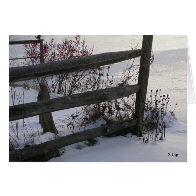 Winter Fence, S Cyr (Front Horizontal)