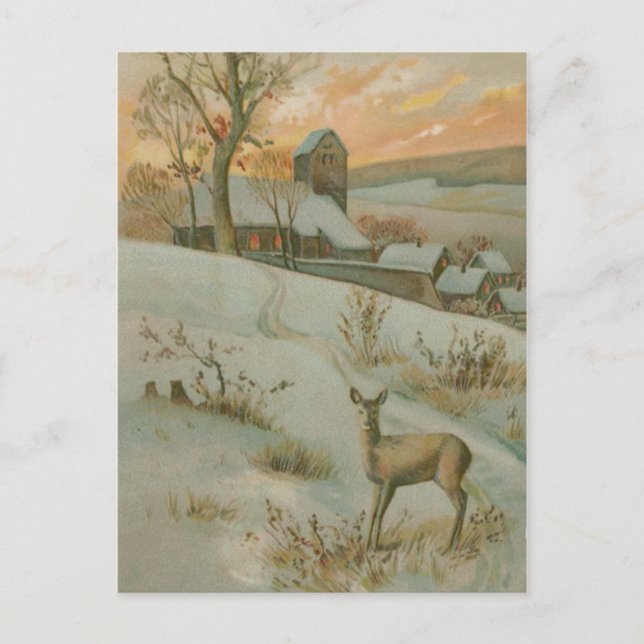 Winter Field Deer Church Snow Postcard (Front)
