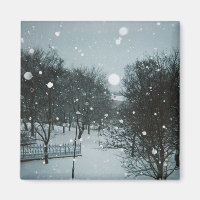 Winter Flakes