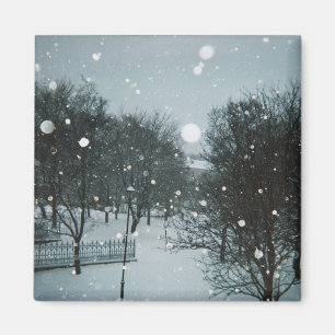 Winter Flakes Magnet