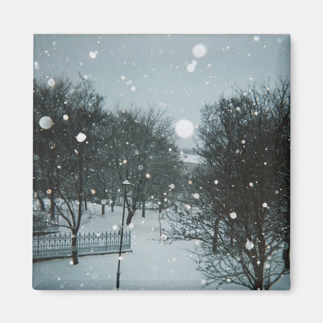 Winter Flakes Magnet (Front)