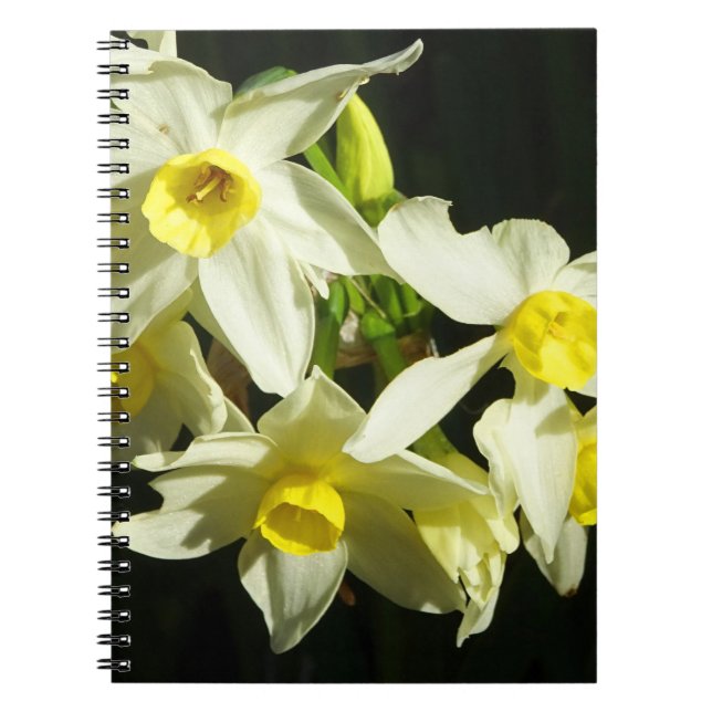 Winter Flowers Notebook (Front)