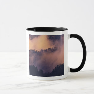 Winter fog in valley at sunset from Morton Mug