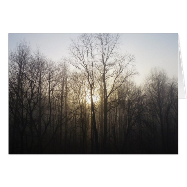 Winter Fog Sunrise Nature Photography (Front Horizontal)