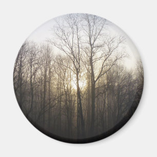 Winter Fog Sunrise Nature Photography Magnet