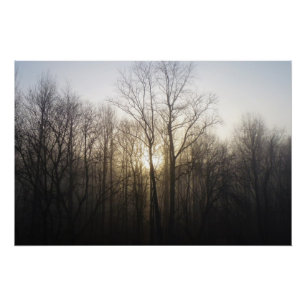 Winter Fog Sunrise Nature Photography Poster