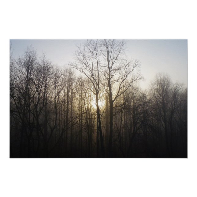 Winter Fog Sunrise Nature Photography Poster (Front)