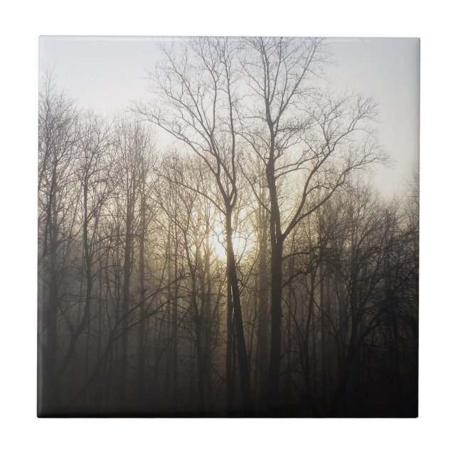 Winter Fog Sunrise Nature Photography Tile (Front)