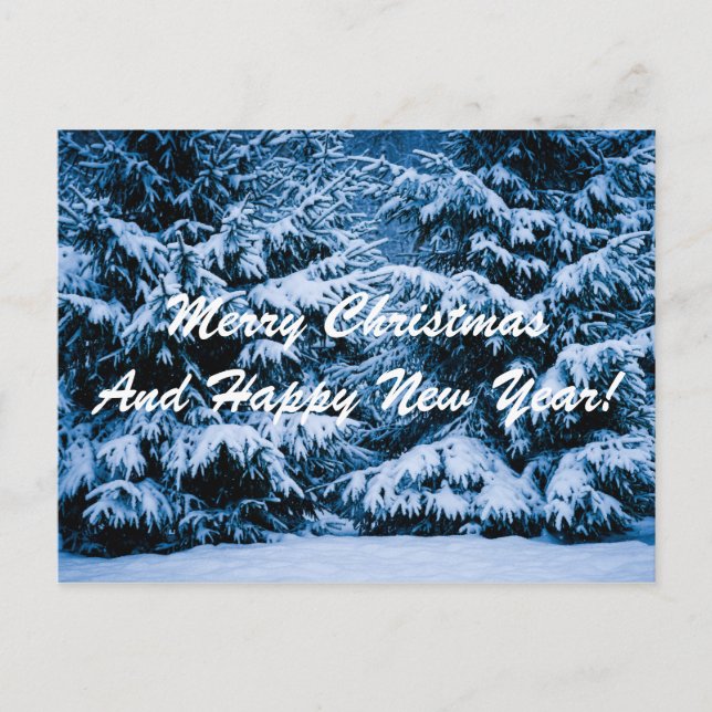 Winter Forest Christmas Tree Holiday Postcard (Front)
