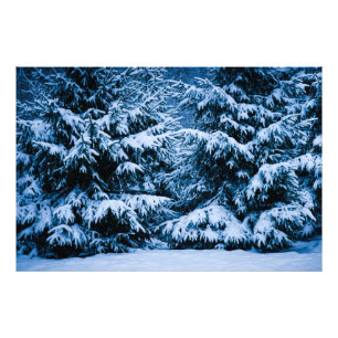 Winter Forest Christmas Tree Photo Print