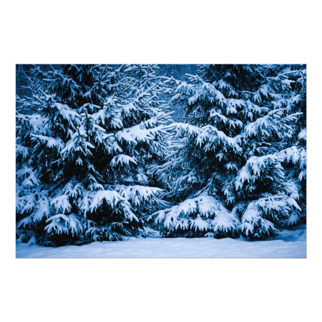 Winter Forest Christmas Tree Photo Print (Front)
