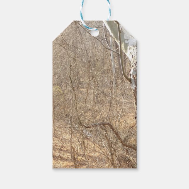 winter forest   gift tags (Front)