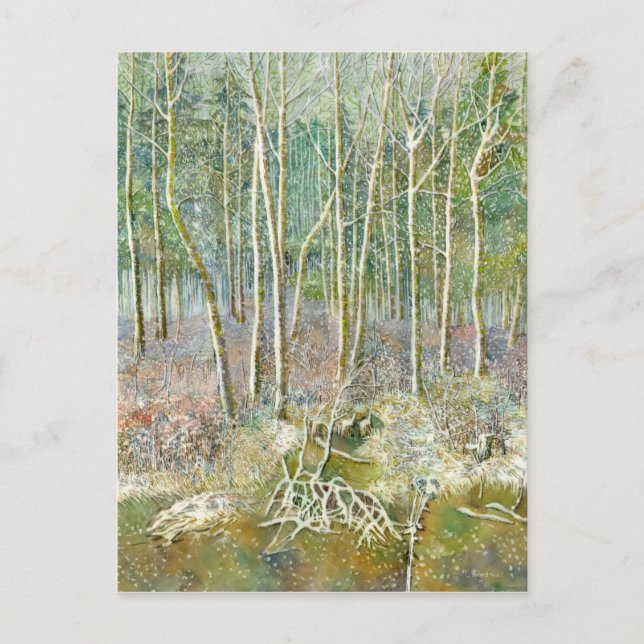 winter forest postcard (Front)