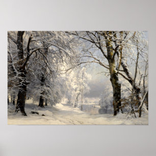 Winter Forest Poster