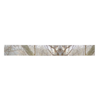 winter forest   satin ribbon