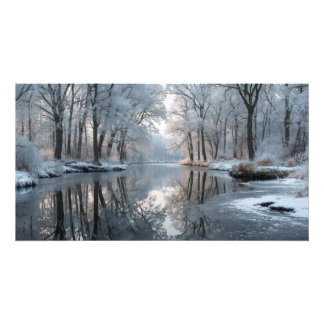 Winter forest scene with frosted trees photo print