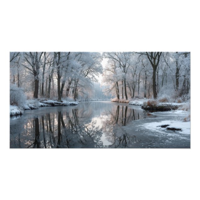 Winter forest scene with frosted trees photo print (Front)